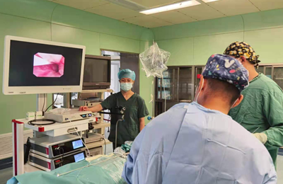 [Urology Laparoscopy] Laparoscopic adrenalectomy