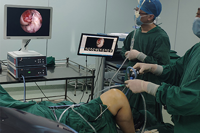 [Orthopedic Arthroscopy] Gouty Arthritis